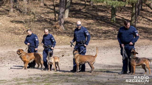 Fot. Robert Stachnik [Radio Szczecin] Przewodnicy policyjnych psów poszukiwani [WIDEO, ZDJĘCIA]