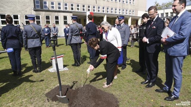 Fot. Kamila Kozioł [Radio Szczecin] Zasadzili Dąb Pamięci. Uhonorowali policjanta zamordowanego przez NKWD [WIDEO, ZDJĘCIA]