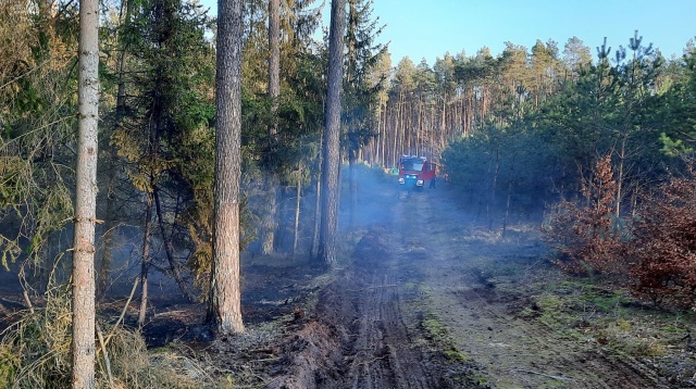 Fot. Regionalna Dyrekcja Lasów Państwowych w Szczecinie Pożary w lasach w Zachodniopomorskiem [ZDJĘCIA]
