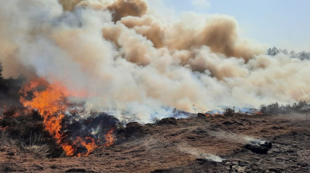 Fot. Regionalna Dyrekcja Lasów Państwowych w Szczecinie Pożary w lasach w Zachodniopomorskiem [ZDJĘCIA]