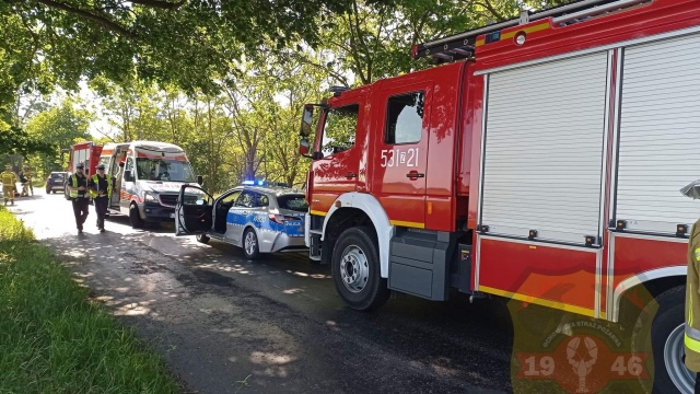 Dwie osoby zostały ranne. Natomiast żubr nie przeżył. źródło: https://www.facebook.com/OSPInsko Dwie osoby w szpitalu. A żubr nie przeżył wypadku [ZDJĘCIA]