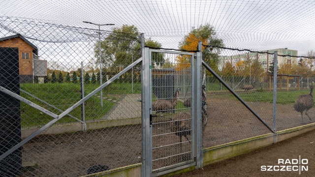 Fot. Robert Stachnik [Radio Szczecin] Co z odwiedzinami zwierzętarni? "Nie jesteśmy ogrodem zoologicznym" [ZDJĘCIA]