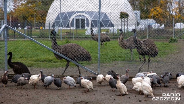 Fot. Robert Stachnik [Radio Szczecin] Co z odwiedzinami zwierzętarni? "Nie jesteśmy ogrodem zoologicznym" [ZDJĘCIA]