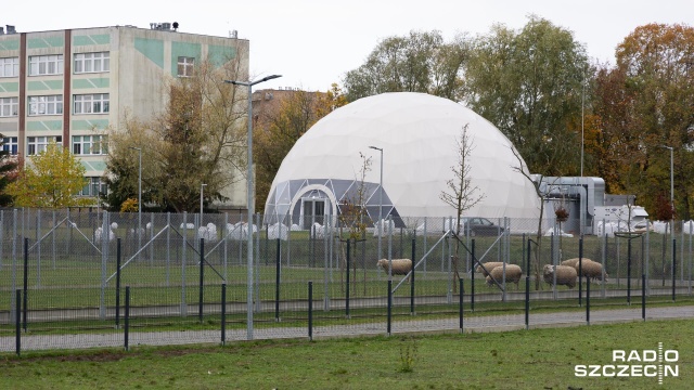 Fot. Robert Stachnik [Radio Szczecin] Co z odwiedzinami zwierzętarni? "Nie jesteśmy ogrodem zoologicznym" [ZDJĘCIA]