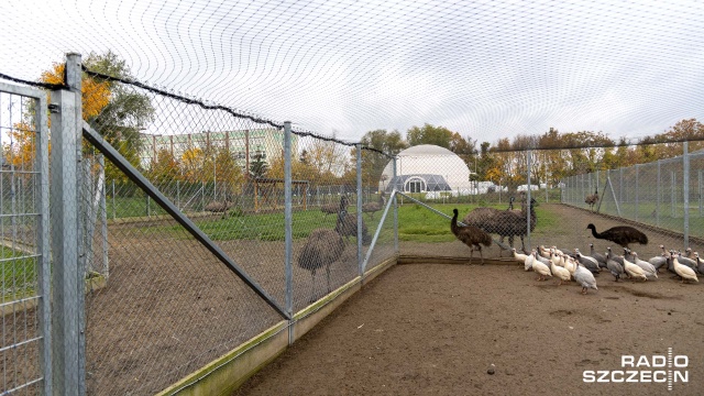Fot. Robert Stachnik [Radio Szczecin] Co z odwiedzinami zwierzętarni? "Nie jesteśmy ogrodem zoologicznym" [ZDJĘCIA]