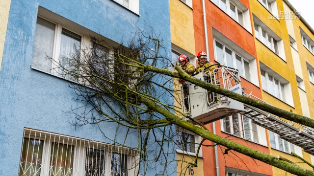 Wiatr po nocy nasila się, zamiast słabnąć w Szczecinie. 300 razy interweniowała już straż pożarna w regionie. Chodzi głównie o usuwanie połamanych gałęzi na drogach.