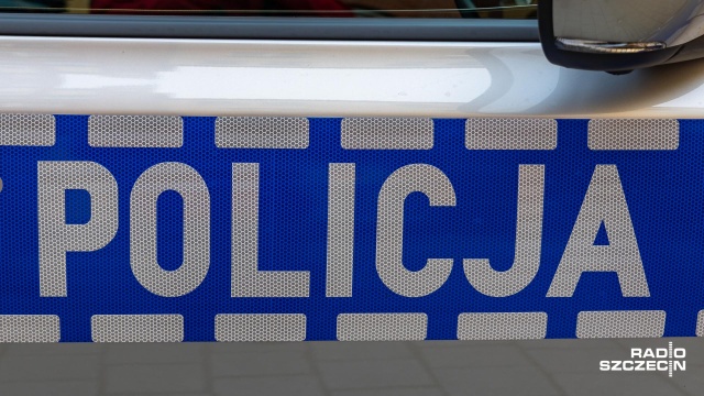 Problemy na drodze wojewódzkiej nr 175. Na trasie samochód osobowy wjechał w powalone drzewo.