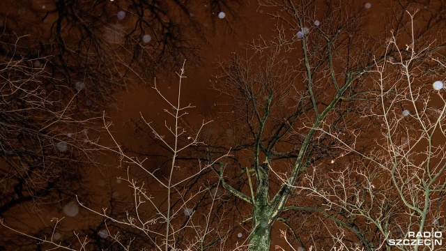 Kilkaset interwencji strażaków, tysiące ludzi bez prądu - kolejna wietrzna noc