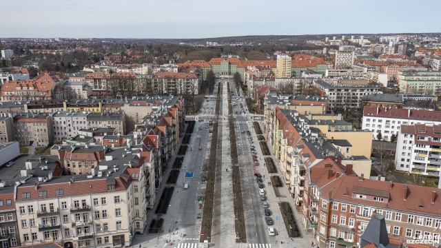 Autobusy wracają w al. Jana Pawła II