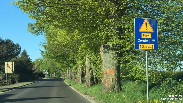 Ścieżka rowerowa Wolin - Unin na wyspie Wolin coraz bliżej. W przyszłym tygodniu powiat kamieński powinien rozstrzygnąć przetarg na prace budowlane. Dzięki temu rowerzyści będą mogli bezpiecznie dojechać z Wolina nad morze do Międzywodzia.