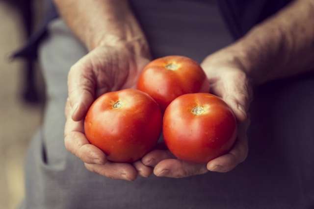 Pomidory to niezwykle wartościowe warzywa. Pomagają w procesie odchudzania, dostarczają korzystnych składników odżywczych dla organizmu, poprawiają kondycję skóry, włosów i paznokci. Jedzenie pomidorów ma wiele korzyści. Kto powinien włączyć do swojej diety pomidory, a komu ich spożywanie może zaszkodzić