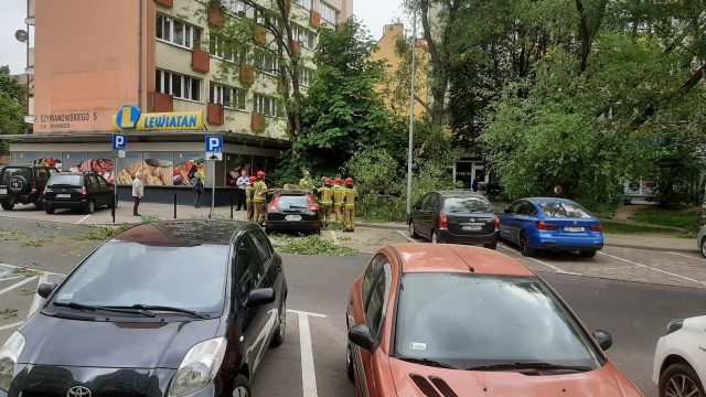 Strażacy interweniują w Szczecinie. Drzewo spadło na samochód przy ulicy Odrowąża.