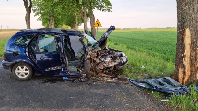 Samochód osobowy uderzył w drzewo. Do zdarzenia doszło na drodze powiatowej między Białogardem a Stanominem.
