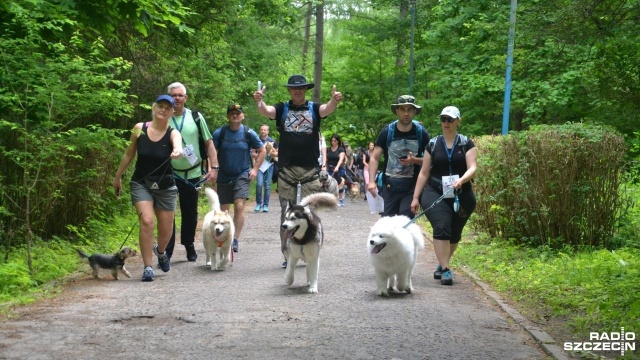 Sto czworonogów w towarzystwie swoich właścicieli wyruszyło do lasu, by wziąć udział w biegu na orientację. Trwa impreza Kołobrzeski Dogtrekking.