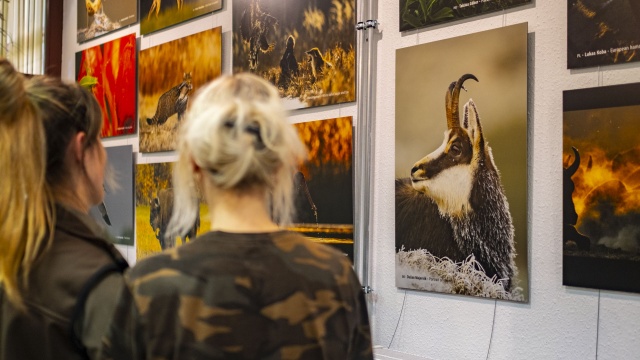 Krajobrazy Tatr czy dzikie zwierzęta, które żyją w czeskich lasach, to wszystko podziwiać można w Ośrodku Edukacji Przyrodniczo-Leśnej w Kliniskach.
