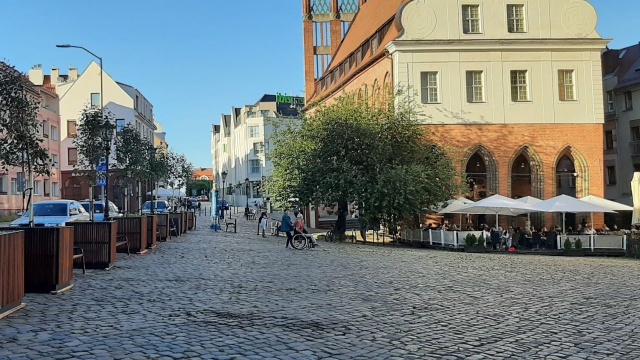 Coraz bardziej zielono na Rynku Siennym w Szczecinie. Stanęły tam właśnie ponad 3-metrowe jabłonie ozdobne.