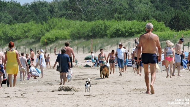Jedni są oburzeni, inni się cieszą, a prawda leży po środku. Mowa o przepisach, które umożliwiają wprowadzanie psów na plażę.