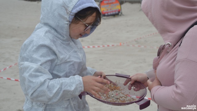 Festiwal poświęcony złotu północy trwa na plaży w Kołobrzegu.