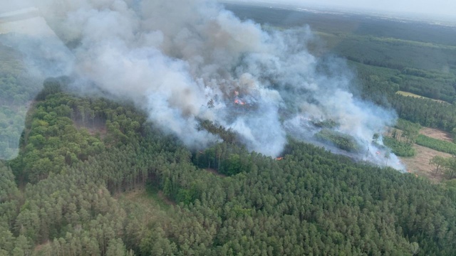 Najwyższy stopień zagrożenia pożarowego obowiązuje na terenie Regionalnej Dyrekcji Lasów Państwowych w Szczecinie.