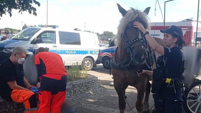 W niedzielę w okolicach portu jachtowego w Świnoujściu koń zerwał się z dorożki. Konieczna była pomoc policjantów.
