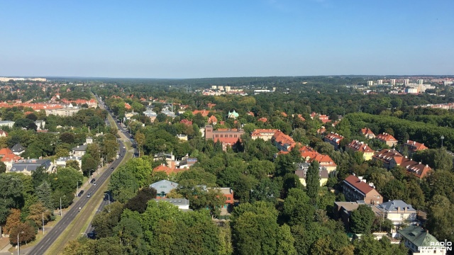 Powstaje baza informacji o szczecińskich drzewach. Powstaje na zlecenie miasta.