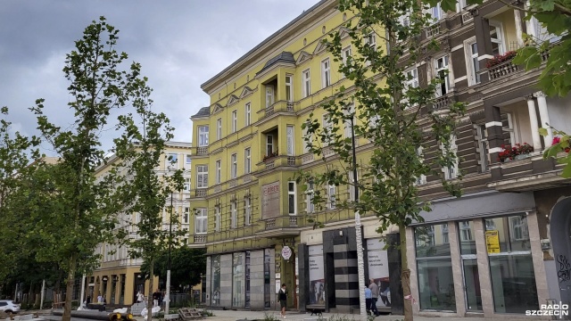 Platany z Alei Wojska Polskiego odzyskały formę - zapewniają szczecińscy urzędnicy.