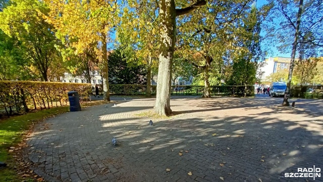 W centrum Kołobrzegu ruszyła wymiana ławek