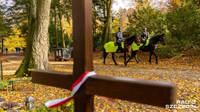 Policjanci na koniach wjechali na Cmentarz Centralny. Szczecińska nekropolia jest największą w Polsce, jest również jedyną, na której zobaczymy konny patrol.