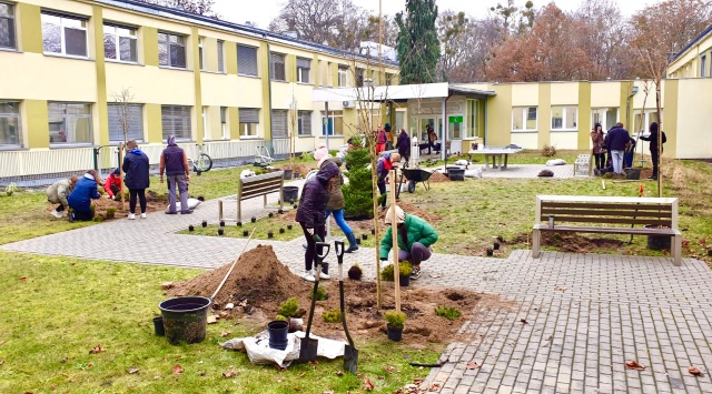 Zielona Oaza powstała w Szpitalu Zdroje w Szczecinie. Na patio placówki uczniowie z Zespołu Szkół Centrum Kształcenia Rolniczego w Szczecinie zasadzili krzewy i kwiaty. Wszystko po to, by umilić małym pacjentom pobyt w placówce.