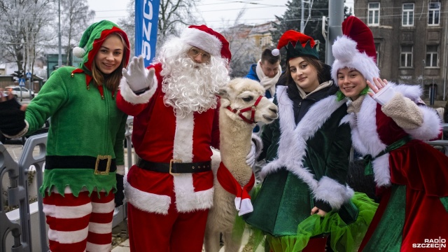 Można pogłaskać alpaki przed Radiem Szczecin. Do godziny 16 zapraszamy Was do naszej Mikołajkowej Wioski. Puchate ssaki będą jednak na miejscu do godziny 14.