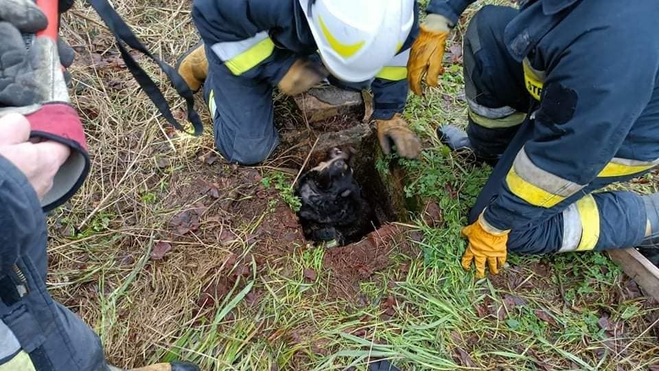 Fot. Facebook / Ochotnicza Straż Pożarna Wolin