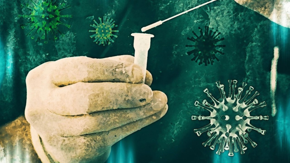 Fot. pixabay.com / Tumisu (CC0 domena publiczna)