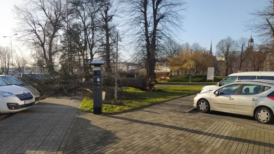 Fot. Joanna Maraszek [Radio Szczecin]