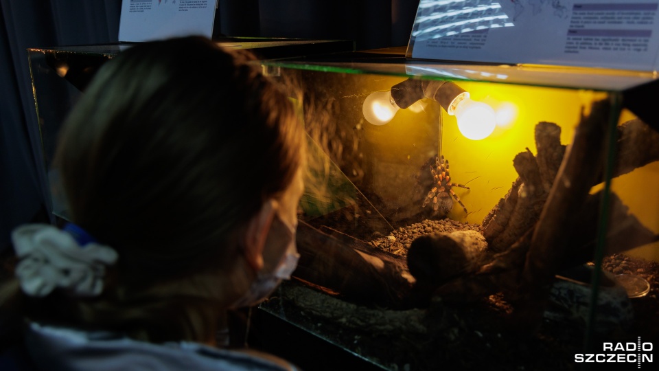 Fot. Robert Stachnik [Radio Szczecin]