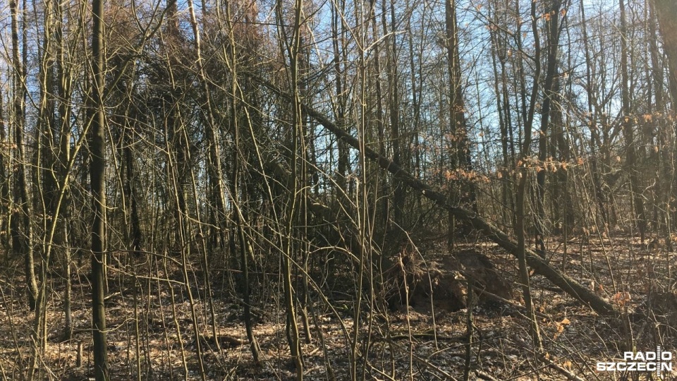 Fot. Michał Król [Radio Szczecin]