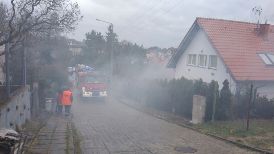 Fot. Słuchacz