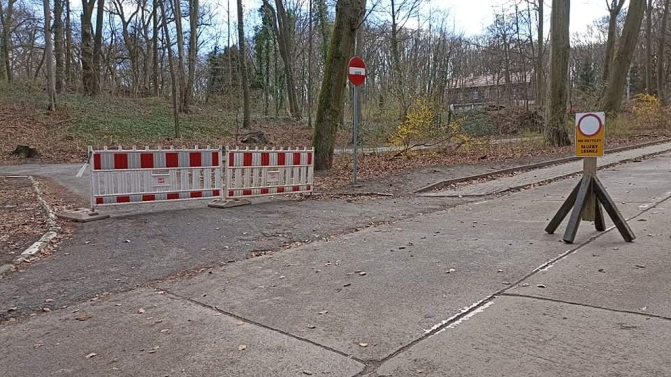 Ropuchy szare są pod ochroną. Fot. ZUK