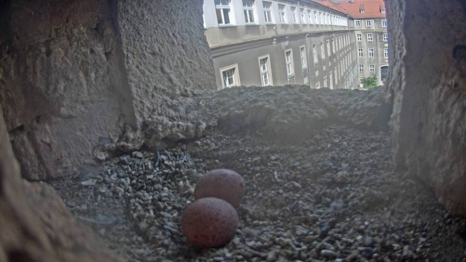 Fot. Urząd Miasta Szczecin