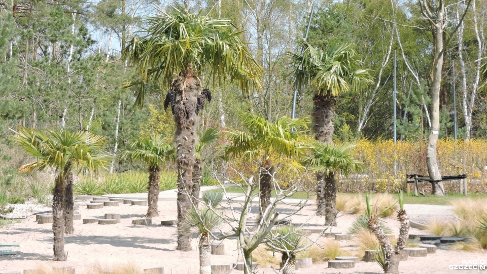 Fot. Joanna Maraszek [Radio Szczecin]