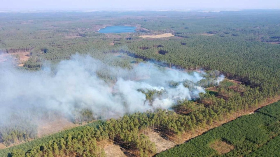 Fot. Regionalna Dyrekcja Lasów Państwowych w Szczecinie