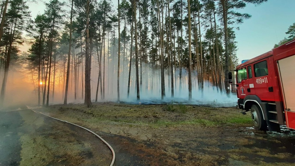 Wysokie ryzyko pożarów w lasach regionu