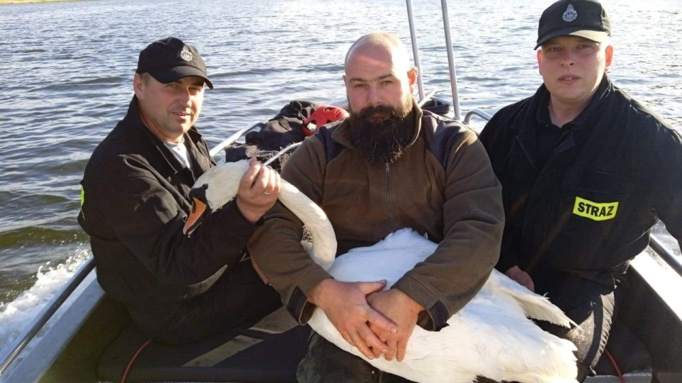 Strażacy popłynęli do niego łódką, na której pokład zabrali pracownika "Dzikiej Ostoi". źródło: https://www.facebook.com/ospdobrzany998