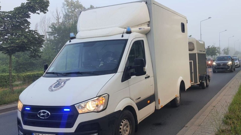 źródło: https://zachodniopomorska.policja.gov.pl
