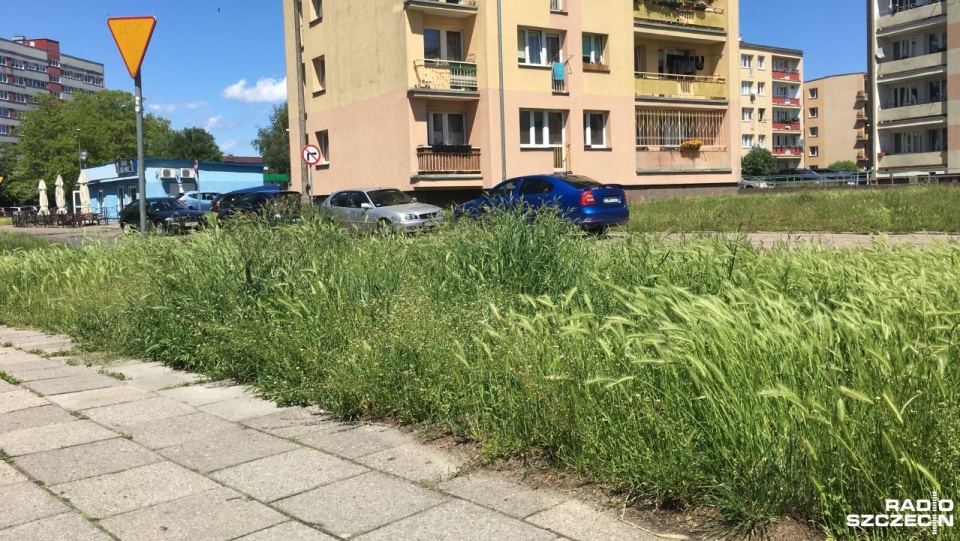 Fot. Joanny Maraszek [Radio Szczecin]