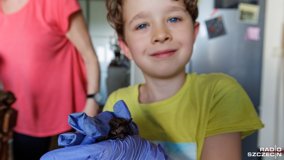 Fot. Robert Stachnik [Radio Szczecin]