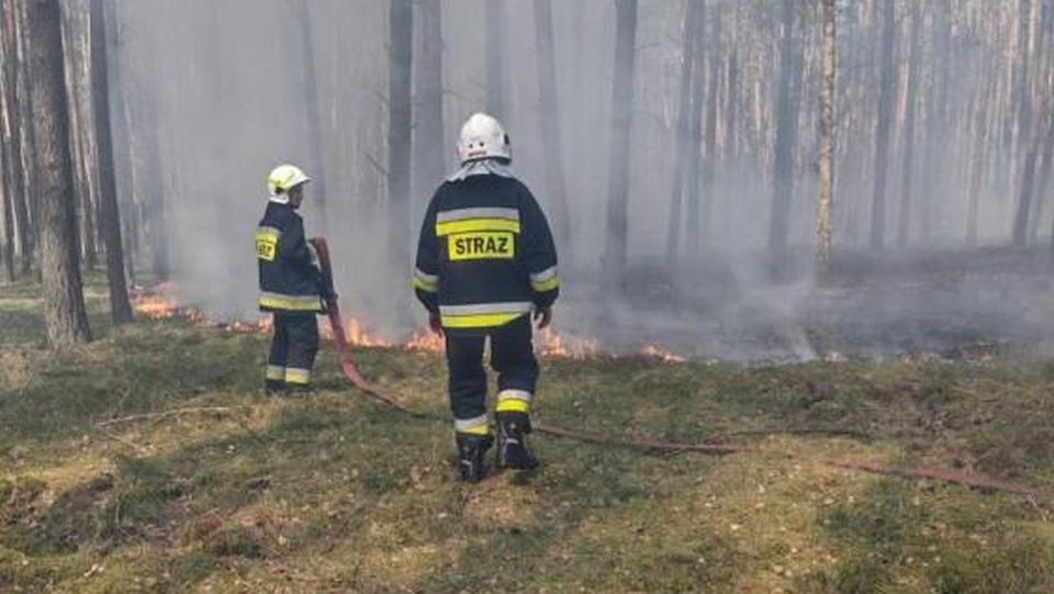 Pożar pokrywy gleby na terenie Leśnictwa Morawsko. Fot. kliniska.szczecin.lasy.gov.pl