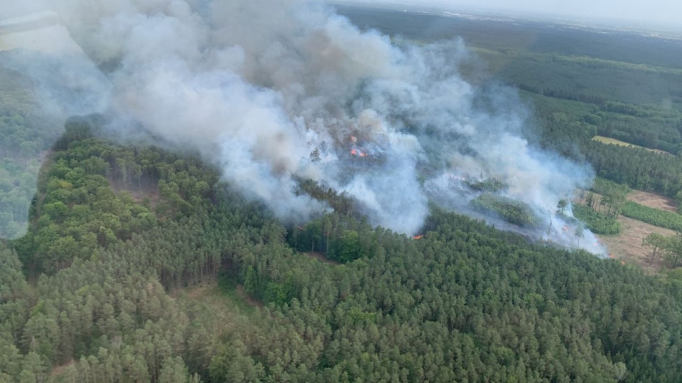 Wzrasta zagrożenie pożarowe w lasach regionu. Fot. Regionalna Dyrekcja Lasów Państwowych w Szczecinie