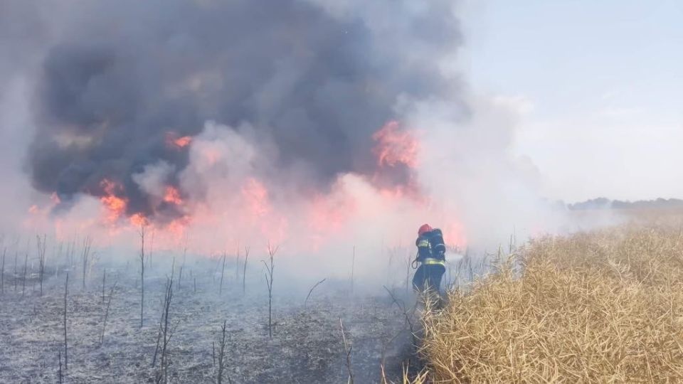 Fot. Państwowa Straż Pożarna