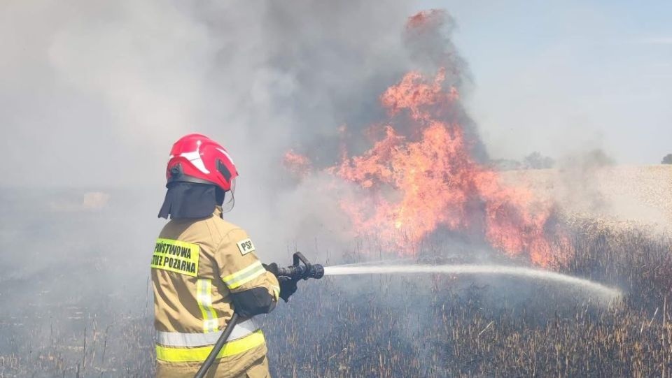 Fot. Państwowa Straż Pożarna