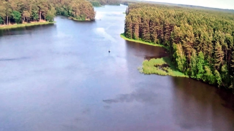 źródło: https://www.wzp.pl/biuro-prasowe